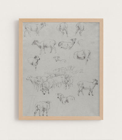 FLOCK OF SHEEP - Museum Quality Art