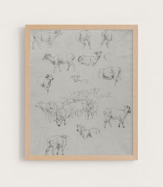 FLOCK OF SHEEP - Museum Quality Art