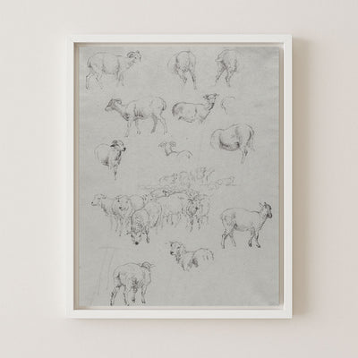 FLOCK OF SHEEP - Museum Quality Art