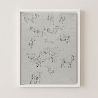 FLOCK OF SHEEP - Museum Quality Art