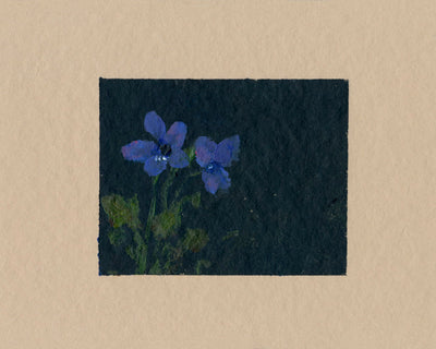 FLORAL STUDY 2 - Museum Quality Art
