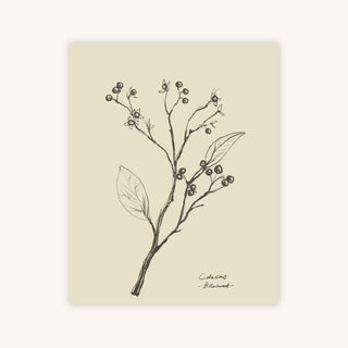 FLORAL II — Primary Image
