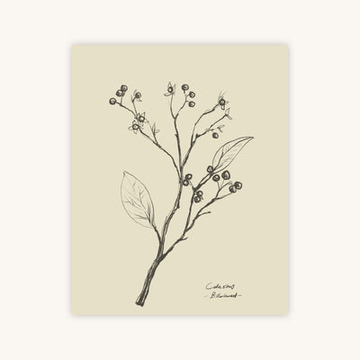 FLORAL II — Primary Image