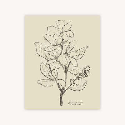 FLORAL I — Primary Image