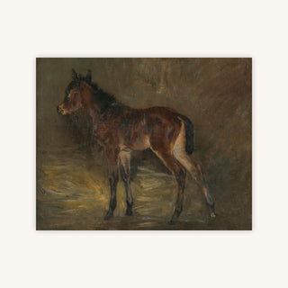 Foal — Primary Image