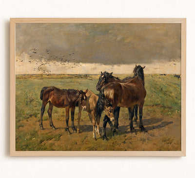 Foals in the Paddock