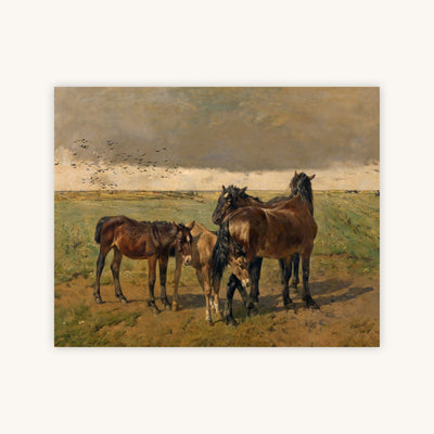 FOALS IN THE PADDOCK — Primary Image
