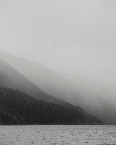 Fogline