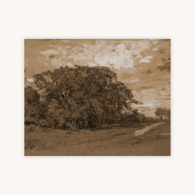 FOREST EDGE — Primary Image