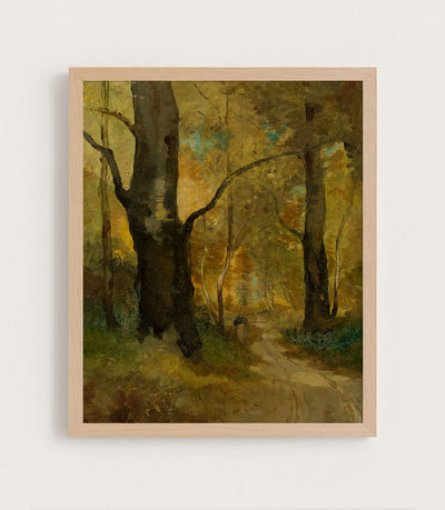 Forest in Autumn