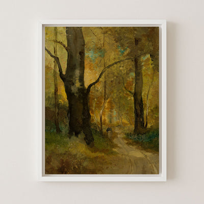 Forest in Autumn