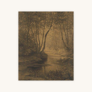 FOREST INTERIOR — Primary Image