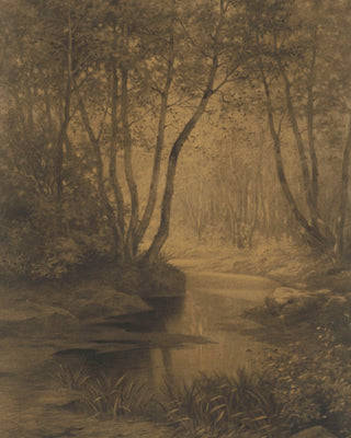 Forest Interior