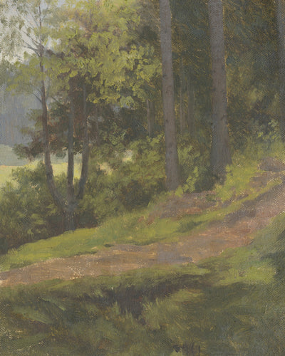 Forest Path