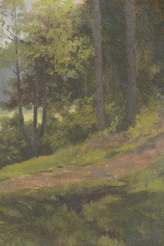 Forest Path