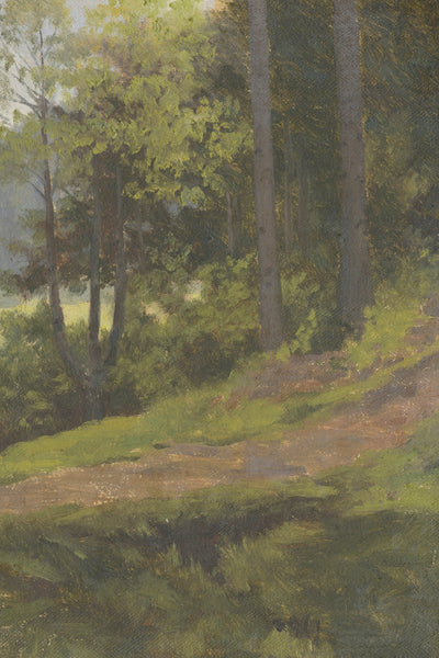 Forest Path
