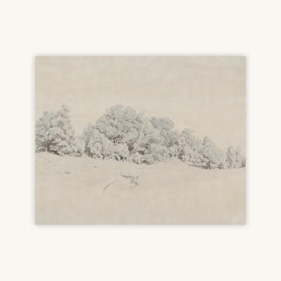 FOREST STUDY SKETCH — Primary Image