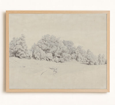 Forest Study Sketch