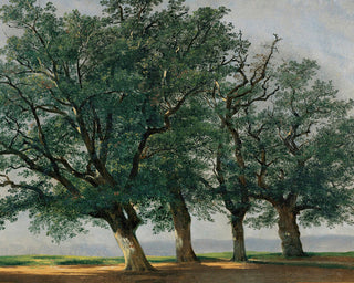 Four Large Trees