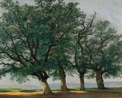 Four Large Trees