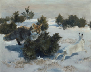 FOX AND HARE