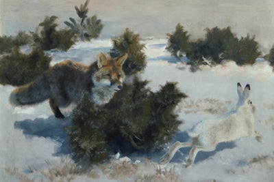 Fox and Hare