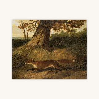 FOX ON THE RUN — Primary Image