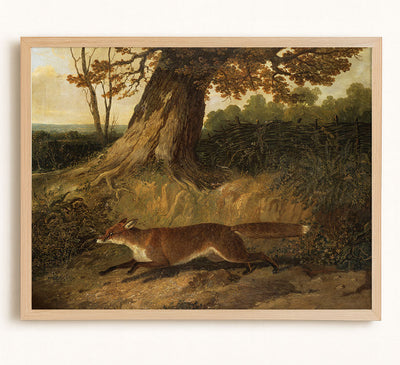 Fox on the Run