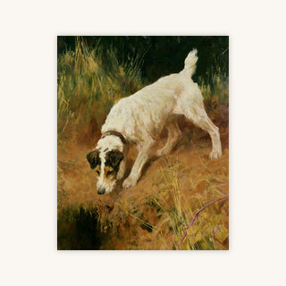 FOX TERRIER — Primary Image
