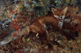 FOXES - Museum Quality Art