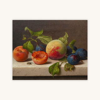 FRUIT STUDY — Primary Image