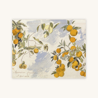 FRUIT TREES — Primary Image