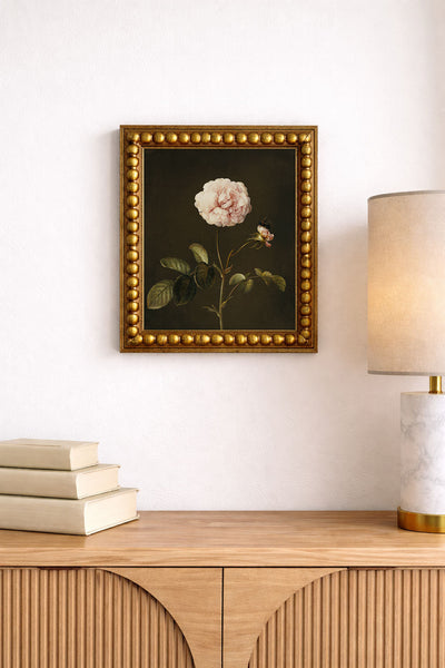 Gallica Rose
