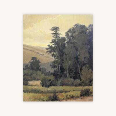 GAP IN WOODLANDS — Primary Image