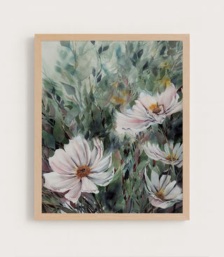 Garden Cosmos