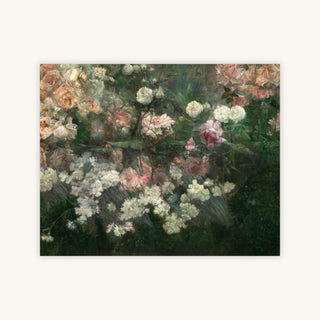 GARDEN IN MAY — Primary Image