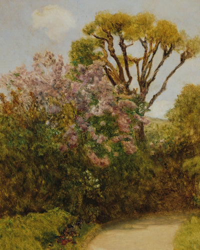 Garden Landscape