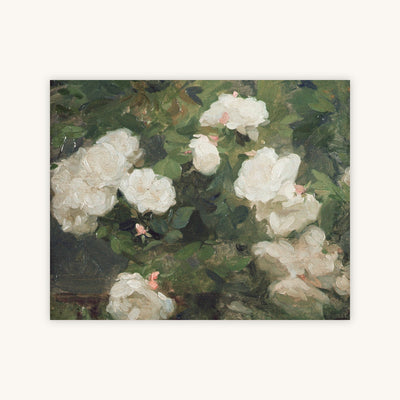 GARDEN ROSES, BLUSH — Primary Image