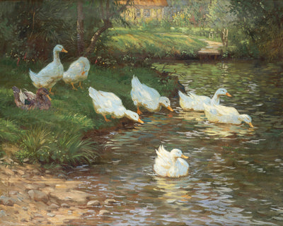 Geese by a Pond