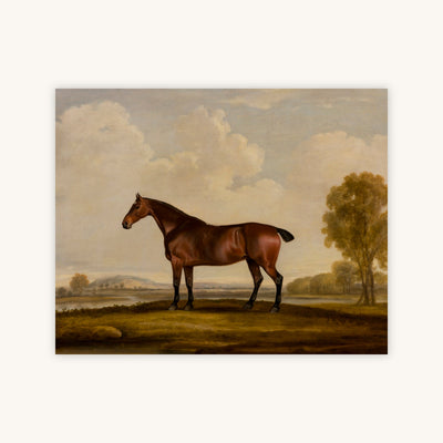 GEORGIANA — Primary Image