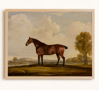 Georgiana