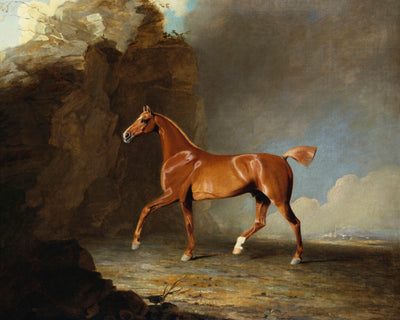 GOLDEN CHESTNUT RACEHORSE