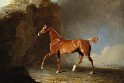 GOLDEN CHESTNUT RACEHORSE