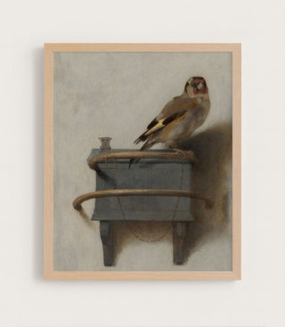 GOLDFINCH - Museum Quality Art