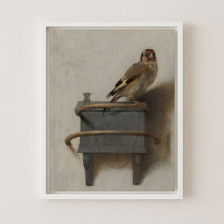 Goldfinch