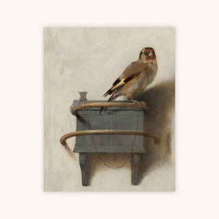GOLDFINCH — Primary Image