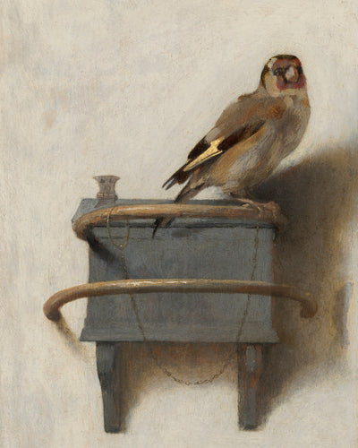 GOLDFINCH