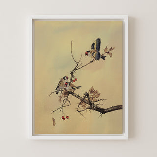 Goldfinches