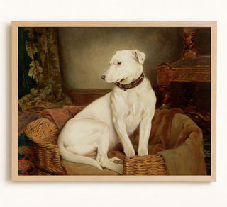 Good Dog