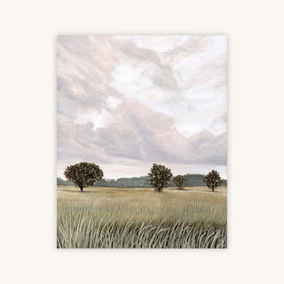GRASSLANDS — Primary Image
